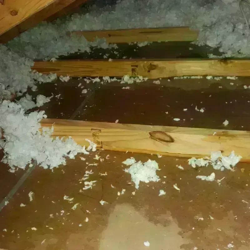 Attic Water Damage in Metzger, OR