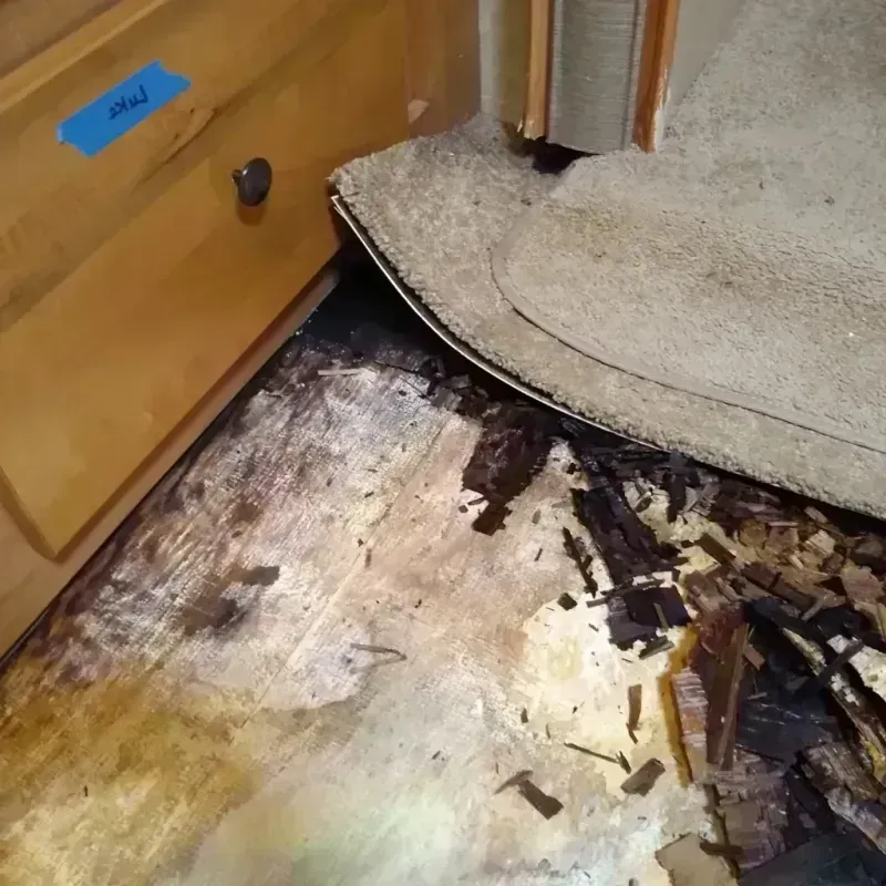 Wood Floor Water Damage in Metzger, OR